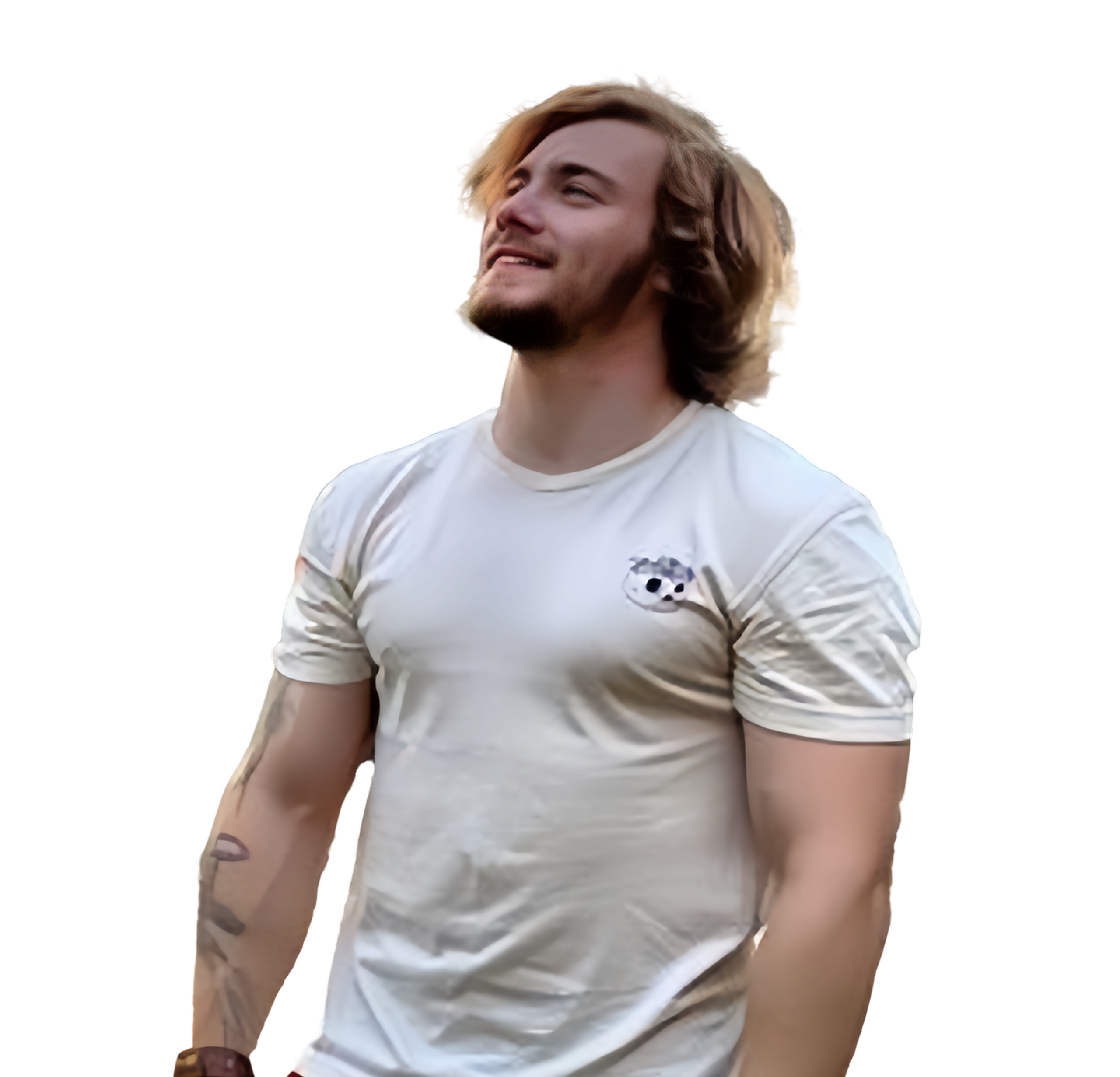 Дмитрий Венгеров